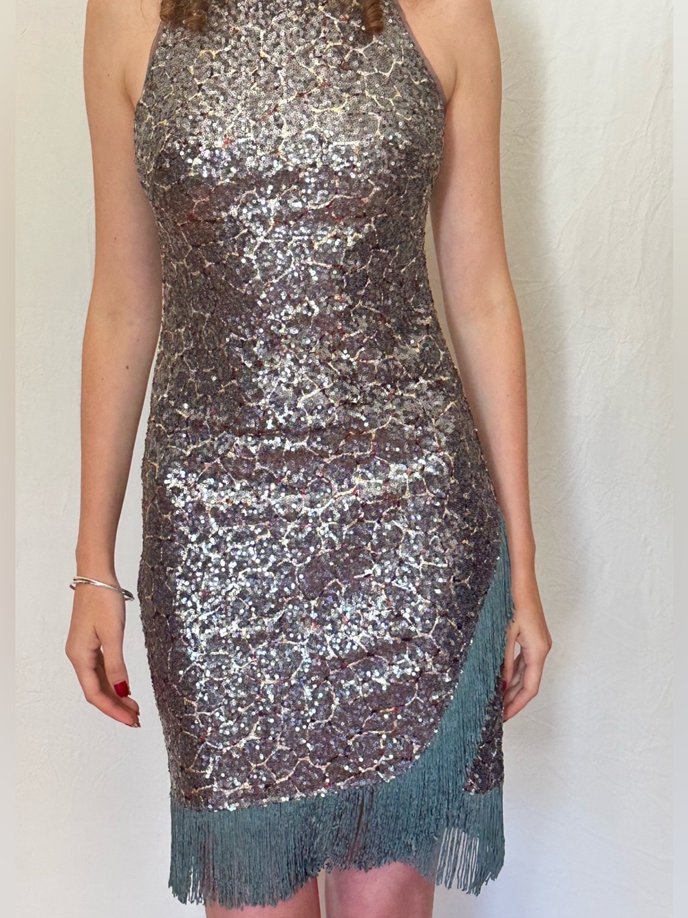 Sequin Fringe Cocktail Dress in Silver